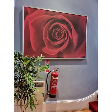 F301-Awesome 3Rd Flr Studio Fits 1 Near Hyde Park 伦敦 外观 照片
